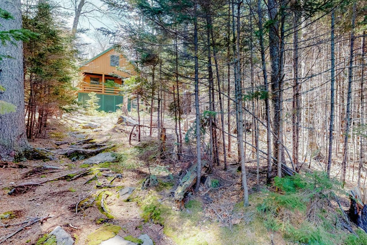 Loon Landing Lodge Greenville Exterior photo